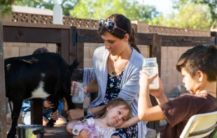 Maureen McKinley milks one of her family's goats in their backyard with help from three of her children, Madeline (behind), Fiona and Augustine on Monday, Aug. 2, 2021. McKinley and her family own two goats, chickens, a rabbit, and a dog. Jake Kelly